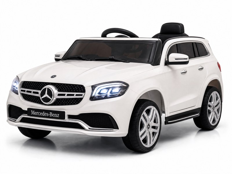 Luxury Cruiser